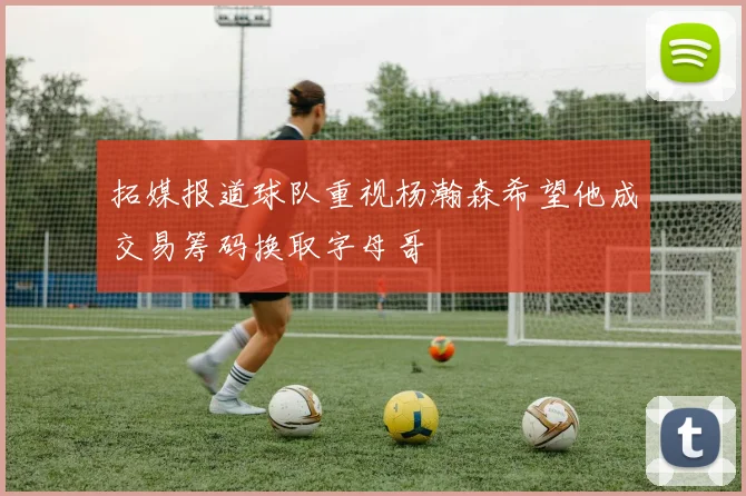 拓媒报道球队重视杨瀚森希望他成交易筹码换取字母哥