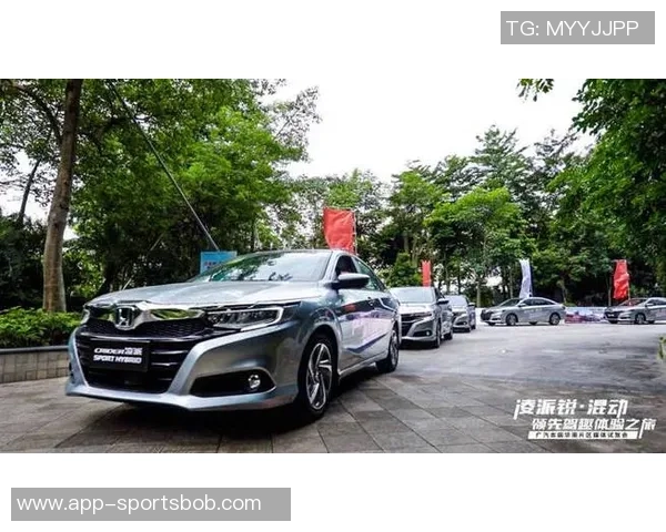 深圳新鹏城十月赛事安排一览表助您畅享精彩活动